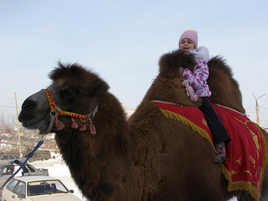 Для детей большая радость — прокатиться на верблюде