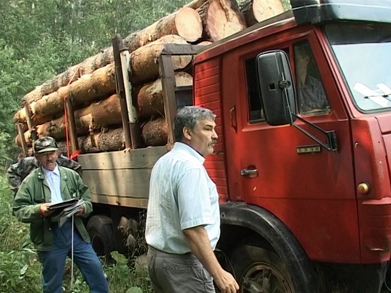 Петр Степанов, лесничий Тюбукского участкового лесничества, и Владимир Чабриков, руководитель ЧОБУ «Каслинское лесничество», осматривают задержанный транспорт с украденным лесом