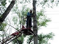 Нарушенное стихией электроснабжение в Вишневогорск восстановлено