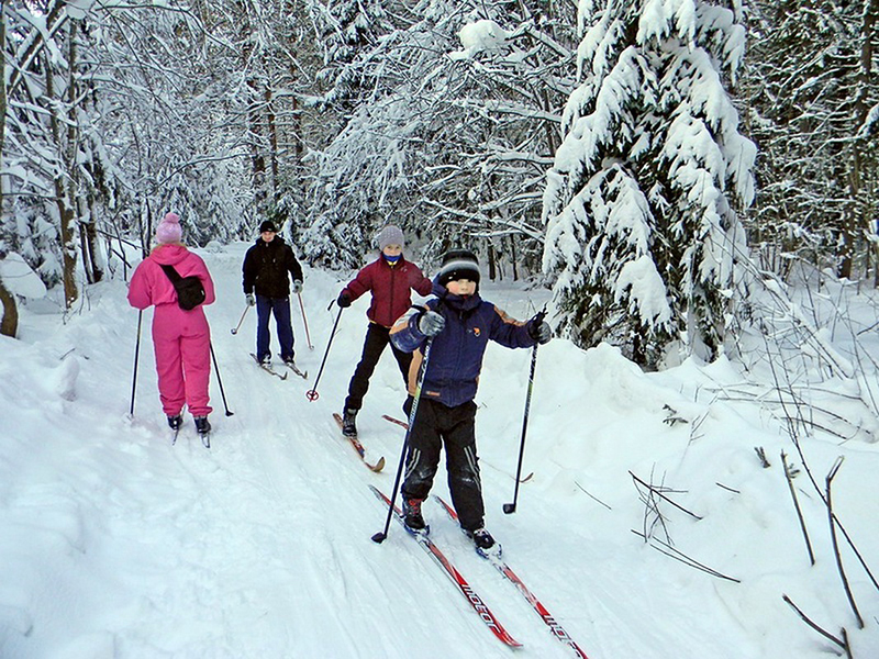 Прокатиться по сказочному зимнему лесу – удовольствие и для взрослых, и для детей