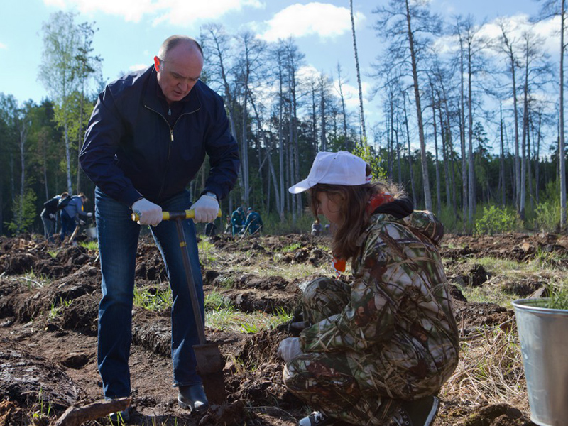 Борис Дубровский принял участие в акции «Всероссийский день посадки леса»